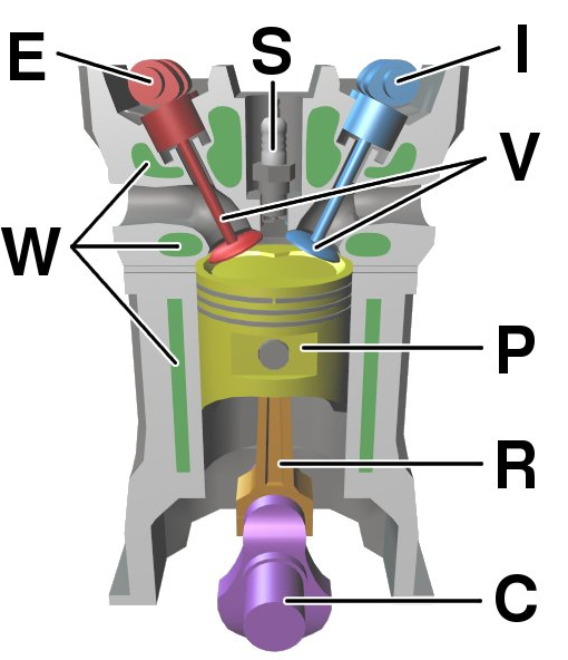 Diagram of a cylinder as found in an overhead cam 4-stroke gasoline engine: C – crankshaft E – exhaust camshaft I – inlet camshaft P – piston R – connecting rod S – spark plug V – valves. red: exhaust, blue: intake. W – cooling water jacket gray structure